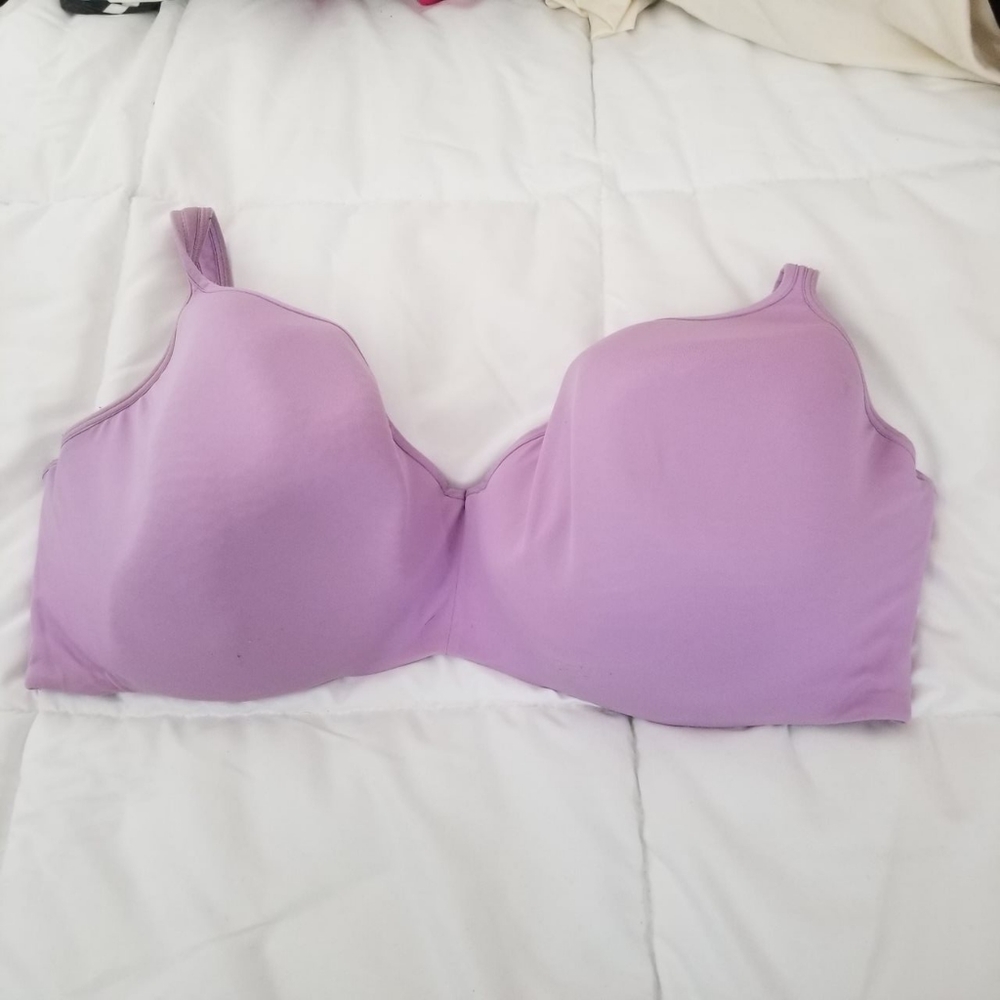 Lane Bryant purple baculate bra